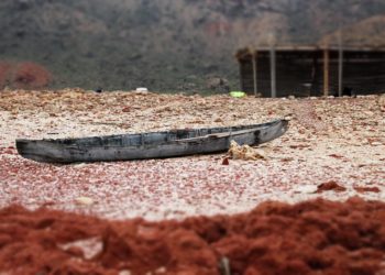 Yémen, cette guerre oubliée qui amplifie la crise au Moyen Orient