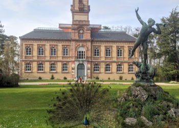 Vers un week end plus chaud et plus ensoleillé à Tarbes