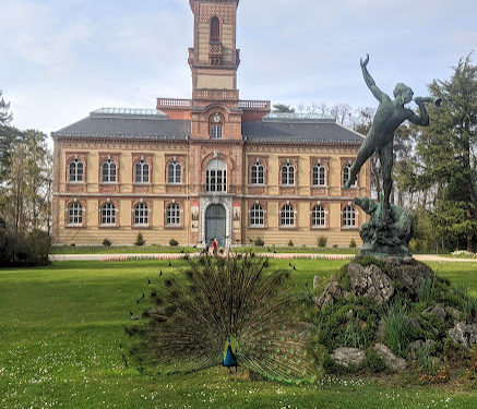 Vers un week end plus chaud et plus ensoleillé à Tarbes