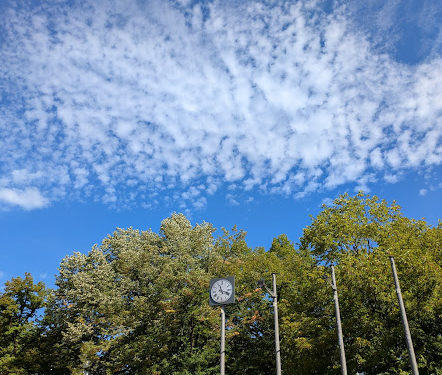 A Tarbes, des températures supérieures de 7 à 8 degrés aux normales de saison