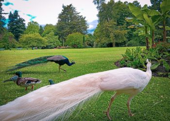 Températures, soleil, une 1ere semaine d'Octobre conformes aux normales de saison à Tarbes