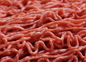 Contaminée à la salmonelle, de la viande hachée vendue chez Lidl rappelée partout en France