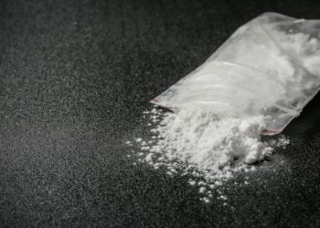 Plus d'1 kilo de cocaïne saisie en deux jours