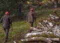 Un chasseur prend un cueilleur de champignons pour un cochon