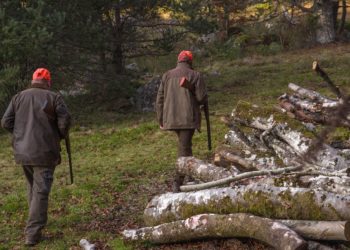Un chasseur prend un cueilleur de champignons pour un cochon
