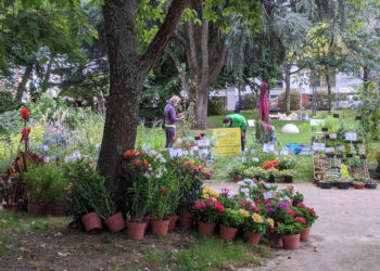 à quoi s'attendre ce dimanche à la fête des fleurs parc Bel Air à Tarbes