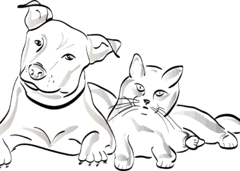 3 chiens et 7 chats dans un T2, leurs voisins portent plainte