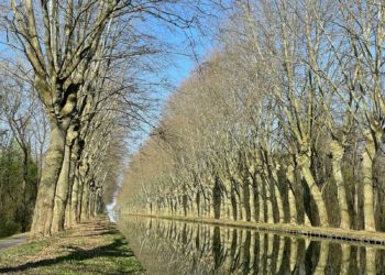 Un héros sauve un passager d’une voiture submergée