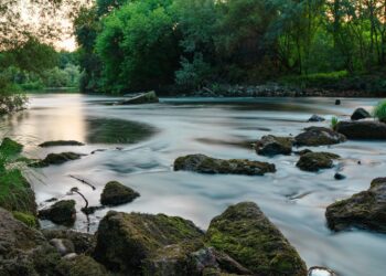 Pollution : des curieux disques en plastique découverts dans une rivière