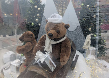 Soleil et douceur pour cette semaine du 8 au 14 décembre à Tarbes