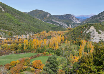 Balades autour de Tarbes : comment profiter de la nature malgré le pollen