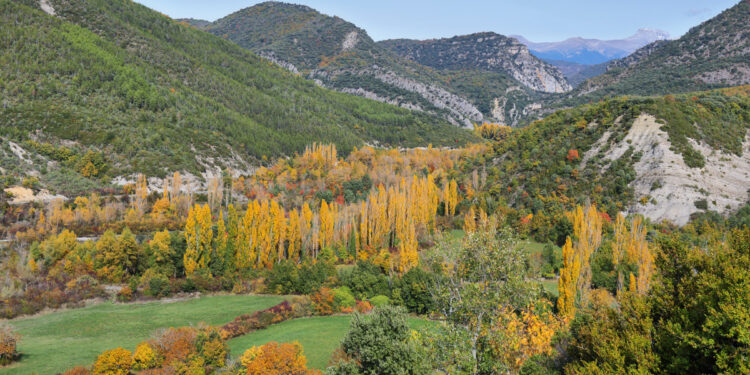 Balades autour de Tarbes : comment profiter de la nature malgré le pollen