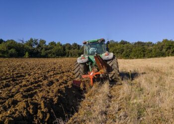 Gaza, les agriculteurs tentent de relancer les cultures