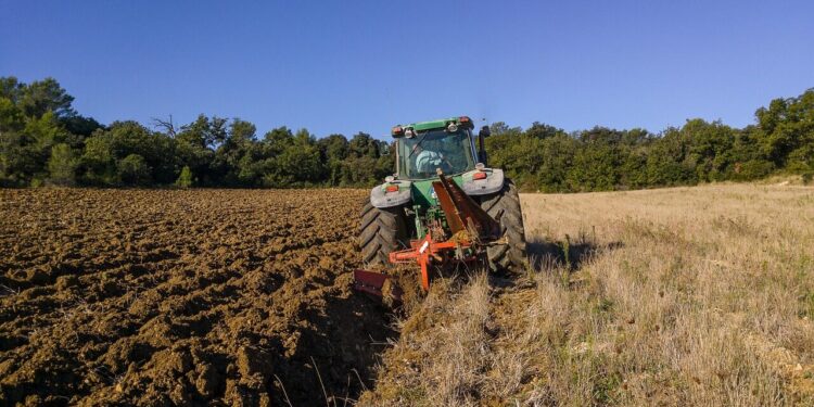 Gaza, les agriculteurs tentent de relancer les cultures