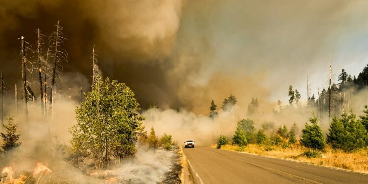 La Haute Garonne en alerte rouge pour feux de forêts, les Hautes Pyrénées en alerte orange